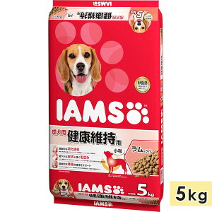 ACX p Nێp CX  5kg hbOt[h hCt[h h{H IAMS }[XWp Ki