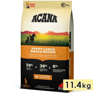 ACANA アカナ パピーラージブリードレシピ 11.4kg 子犬用 大型犬用 ドッグフード ドライフード アカナファミリージャパン 正規品