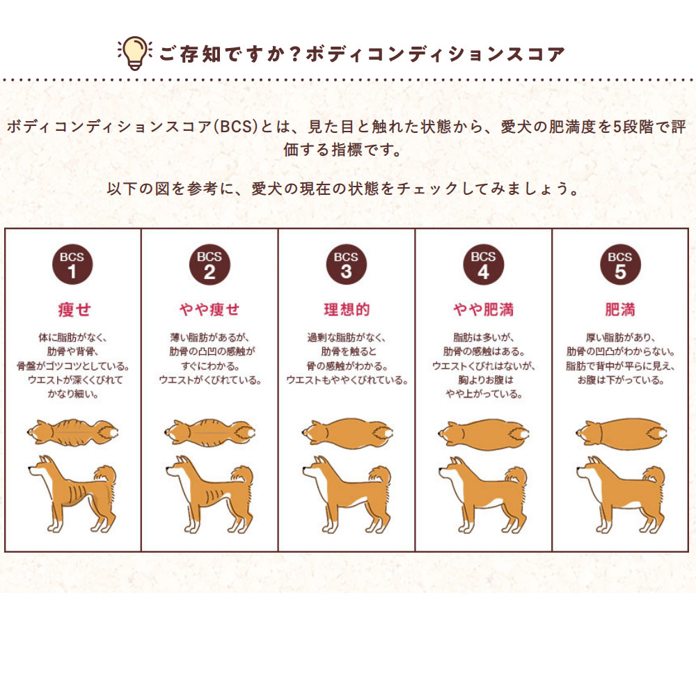 【楽天市場】フィジカライフ シニア犬用 高齢犬用 チキン&大豆入り