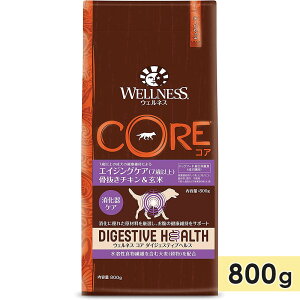 �E�F���l�X �R�A�_�C�W�F�X�e�B�u�w���X �G�C�W���O �������`�L�������� 800g ����p �V�j�A���p �S����p 7�Έȏ� �h�b�O�t�[�h �h���C�t�[�h WELLNESS ���K�i