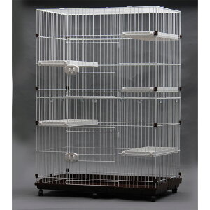 �yGB�z�L�p�P�[�W �G�N�X�e���A Cat DX �z���C�g×�u���E�� �L���X�^�[�t�� �L�p�T�[�N�� �W�[�r�[ GB