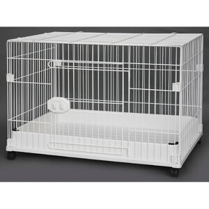 yGBzpP[W FW-D1 tgJo[E\^Cv zCg×zCg ^p ^p LX^[t p pT[N W[r[ GB