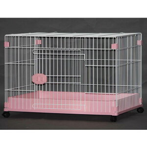 yGBzpP[W FW-D1 tgJo[E\^Cv zCg×sN ^p ^p LX^[t p pT[N W[r[ GB