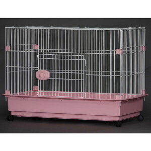 yGBzpP[W N^O 3200-DR zCg×sN ^p ^p ^p LX^[t p pT[N W[r[ GB