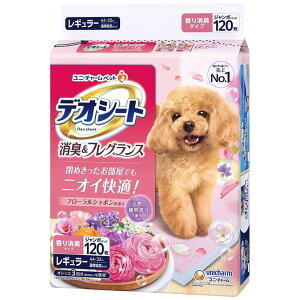 fIV[g LtOX t[V{̍ M[TCY 120 ybgV[c ybgV[g pV[c pgCV[c gCV[g V[g V