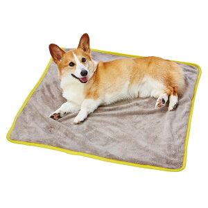 zuttone ₳ G 􂦂 h }bg  p}bg Ōp}bg Sp SLp p p VjAp Lp Lp VjALp ppi pŌpi Lp