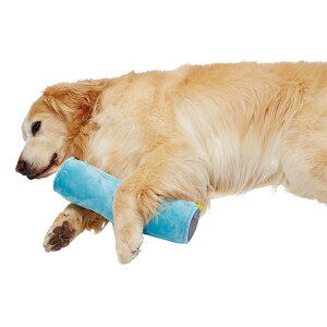 zuttone ݂߂ł₳r[YNbV XeBbN^  pNbV Sp SLp p p VjAp Lp Lp VjALp ppi pŌp