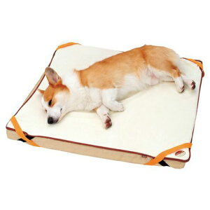 zuttone Vp \h xbh ^p p}bg Ōp}bg p p VjAp ppi pŌpi pxbh Ōpxbh Ƃ yeBI Petio