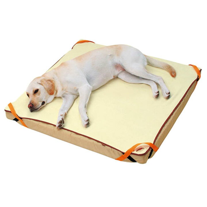 楽天市場】【5個セット】zuttone 老犬介護用 床ずれ予防 ベッド 大型犬 