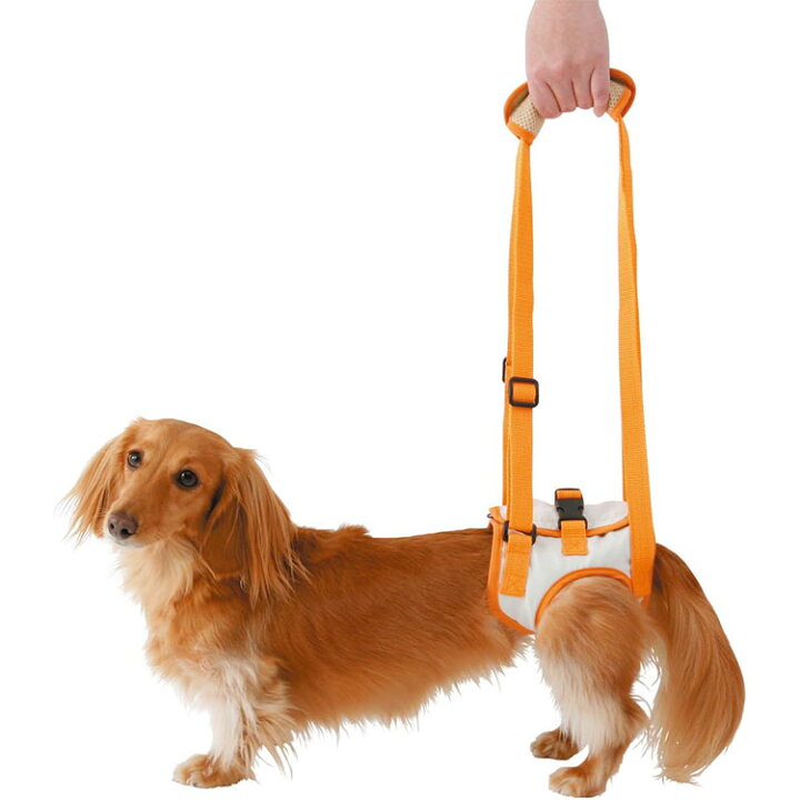 楽天市場】zuttone 老犬介護用 歩行補助ハーネス 後足用K Mサイズ 小型 
