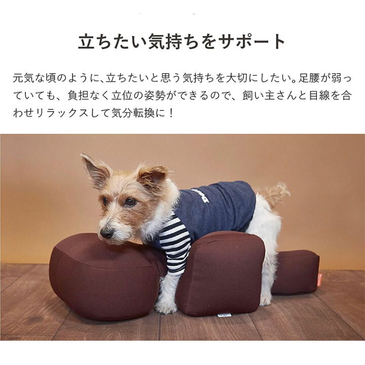 楽天市場】OneAid リラクッション カバー付き Mサイズ 撥水カバー 中型 