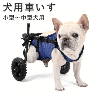 pԈ֎q 둫p XS S M ^p ^p ps ybgԈ֎q s⏕ 2 Ԉ֎q ps⏕ n[lX ybgpԂ ԗ nr     U  sT|[