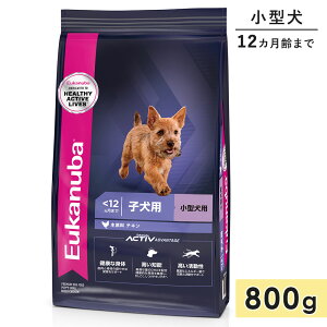 [Jko X[ ps[ 800g qp ^p ^p `L 12J܂ 1΂܂ hbOt[h hCt[h Eukanuba Ki