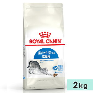 CJi ChA 2kg Lp SLp 12J`7΂܂ 1΁`7΂܂ Lbgt[h hCt[h ŐLp ROYAL CANIN Ki