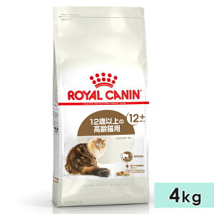 CJi GCWO 12+ 4kg Lp VjALp SLp 12Έȏ Lbgt[h hCt[h ROYAL CANIN Ki