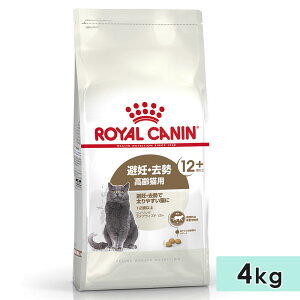 CJi GCWO XeACYh 12+ 4kg Lp VjALp SLp 12Έȏ Lbgt[h hCt[h K̏d̈ێAH~ADEő₷Lp RO