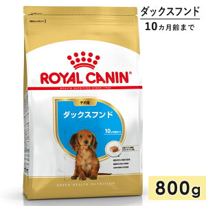 yܖ2026/3/16zCJi _bNXth 800g qp ^p ^p 10J܂ hbOt[h hCt[h ROYAL CANIN Ki