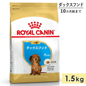 yܖ2026/3/16zCJi _bNXth 1.5kg qp ^p ^p 10J܂ hbOt[h hCt[h ROYAL CANIN Ki
