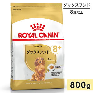 yܖ2026/3/5zCJi _bNXth 800g p`p VjAp ^p ^p 8Έȏ hbOt[h hCt[h ROYAL CANIN Ki