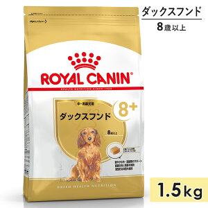 CJi _bNXth 1.5kg p`p VjAp ^p ^p 8Έȏ hbOt[h hCt[h ROYAL CANIN Ki