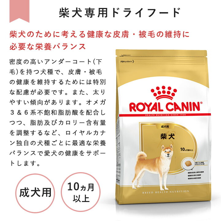 楽天市場】ロイヤルカナン 柴犬 8kg 成犬用 中型犬用 生後10カ月齢～8 