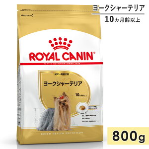 CJi [NV[eA 800g p`p ^p 10Jȏ hbOt[h hCt[h ROYAL CANIN Ki