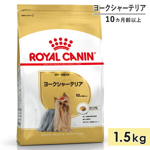 CJi [NV[eA 1.5kg p`p ^p 10Jȏ hbOt[h hCt[h ROYAL CANIN Ki