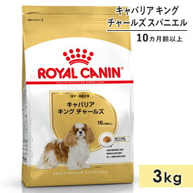 ロイヤルカナン キャバリアキングチャールズ 3kg 成犬用～高齢犬用 小型犬用 生後10カ月齢以上 ドッグフード ドライフード ROYAL CANIN 正規品