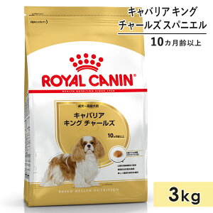 yܖ2026/6/3zCJi LoALO`[Y 3kg p`p ^p 10Jȏ hbOt[h hCt[h ROYAL CANIN Ki