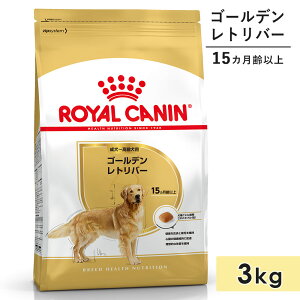 yܖ2026/3/12zCJi S[fgo[ 3kg p`p ^p 15Jȏ 13Jȏ hbOt[h hCt[h ROYAL CANIN Ki