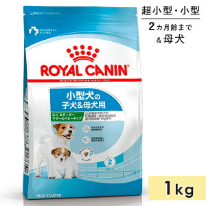 CJi ~j X^[^[ }U[xr[hbO 1kg qp ꌢp ^p ^p 2J܂ DP` hbOt[h hCt[h ROYAL CANIN Ki