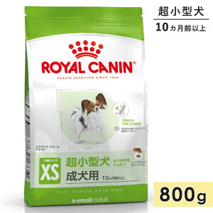 CJi GNXg X[ A_g 800g p ^p 10Jȏ hbOt[h hCt[h ROYAL CANIN Ki