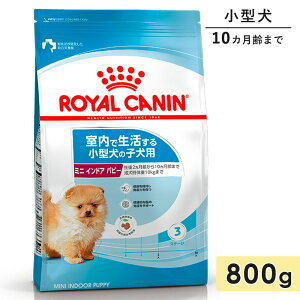 CJi ~jChAps[ 800g qp ^p 10J܂ hbOt[h hCt[h Ő錢p ROYAL CANIN Ki
