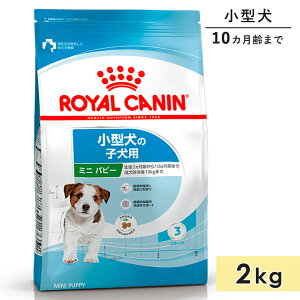 CJi ~jps[ 2kg qp ^p 10J܂ hbOt[h hCt[h ROYAL CANIN Ki