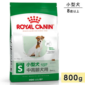 CJi ~jA_g8+ 800g p VjAp ^p 8Έȏ hbOt[h hCt[h ROYAL CANIN Ki