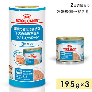 CJi X^[^[[X }U[xr[hbO 195g×3 qp ꌢp Sp `2J܂&DP` hbOt[h [X EFbgt[h ROYAL CANIN Ki