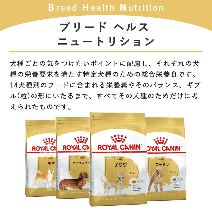 楽天市場】ロイヤルカナン 柴犬 8kg 成犬用 中型犬用 生後10カ月齢～8 