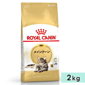 ロイヤルカナン メインクーン 2kg 成猫用 生後15カ月齢〜12歳まで ドライフード キャットフード 総合栄養食 ROYALCANIN 正規品