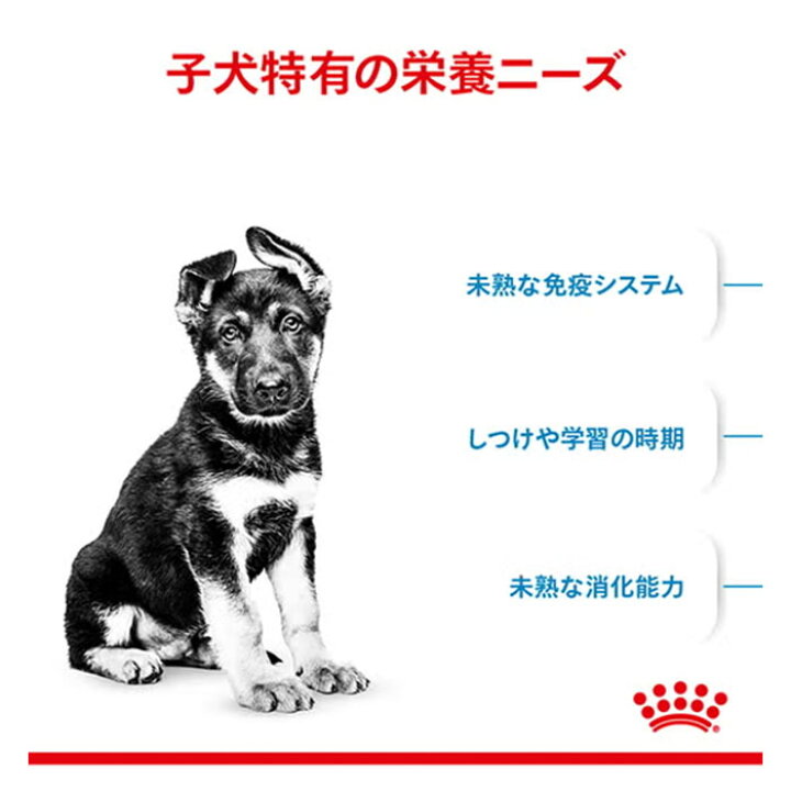 楽天市場】ロイヤルカナン マキシ パピー 15kg 大型犬用 子犬用 生後15 