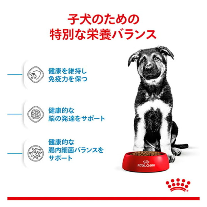 楽天市場】ロイヤルカナン マキシ パピー 15kg 大型犬用 子犬用 生後15 