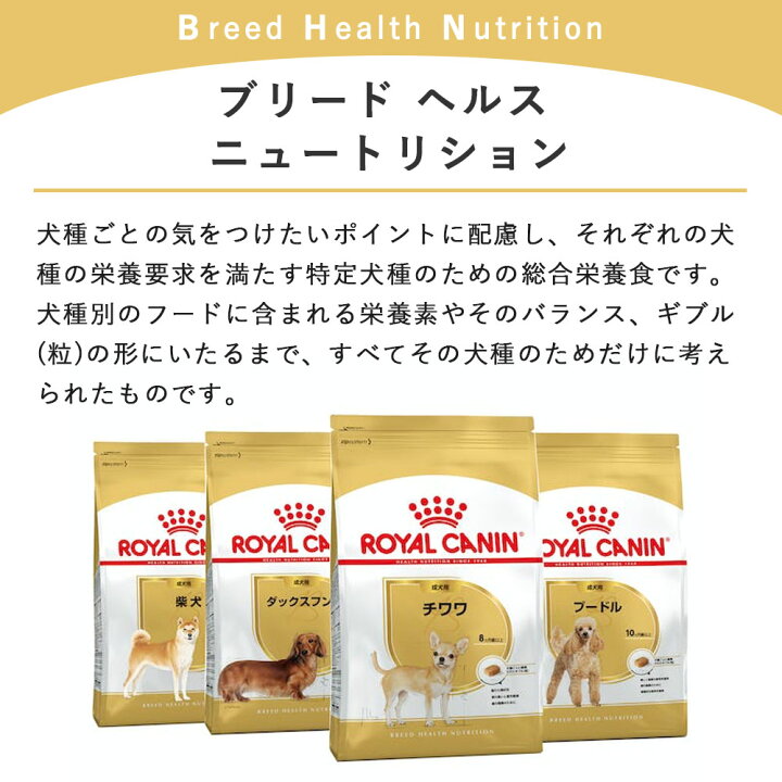 楽天市場】ロイヤルカナン プードル 中・高齢犬用 800g 8歳以上 8+ 