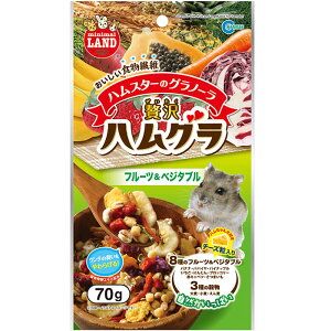 ґnO t[c&xW^u 70g pt[h  nX^[ X K ML-55 }J