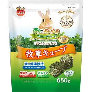 oj[O[h qL[u 650g q pt[h   bg `` nX^[ ML-542 }J