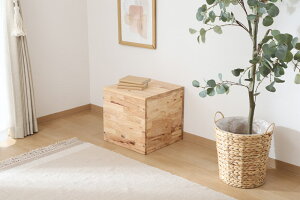 yzNS TATAMI [{bNX 37817 Natural Signature ω׏d80Kg