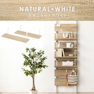 yz ς莮 EH[bNp I i60cm/2gj@pIvVi@KTR-3142-T60