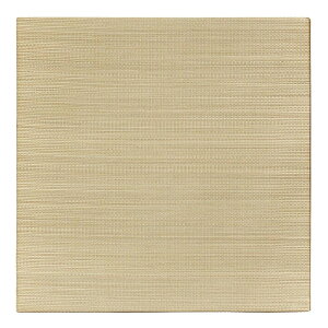 yz ʉ؂₩ VR  u э ij 65cmTCY i2Zbgj 65×65×2.5cm@15905478