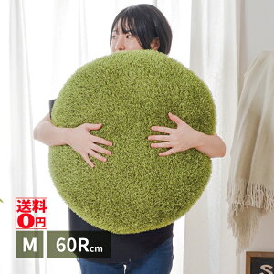 yz AŐ NbV@V[@ i60cm MTCYj