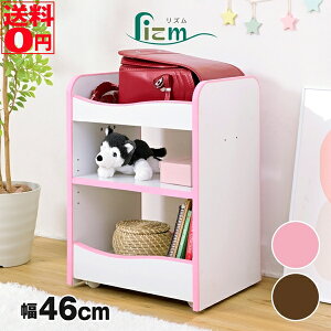 yz \tgGbWdl̈SƋ Lizm Y LX^[t hZbN i46cmj FES-0007