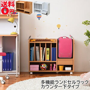 yz LX^[t @\ hZbN JE^[^Cv i80cm 62.5cm s30cmj {I XbN rO[@FRM-0125 NA/WH