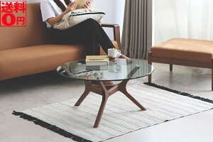 yz AMOR A[ KXe[u a80cm